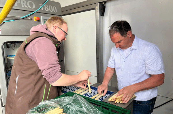 EDEKA Ralf Engelhard, Mainz-Finthen, Ingelheim, Gau-Algesheim, Blog, digital, Spargel, Obstbau Speth, Wackernheim, Regionalität, BIOLAND