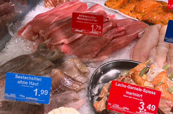 EDEKA Ralf Engelhard, Mainz-Finthen, Ingelheim, Gau-Algesheim, Fisch, Frischfisch, Frischfischfantasien, Wels, Lachs, Matjes, Matjessalat