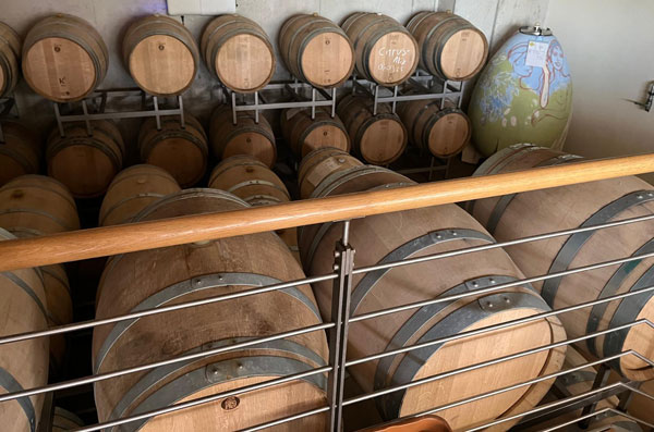 EDEKA Ralf Engelhard, Mainz-Finthen, Ingelheim, Gau-Algesheim, Blog, Jürgen Hofmann, Appenheim, Wein, Riesling, Sauvignon blanc