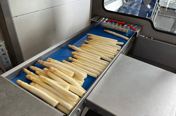 EDEKA Ralf Engelhard, Mainz-Finthen, Ingelheim, Gau-Algesheim, Spargel, Speth, Schinken, Spargel und Schinken