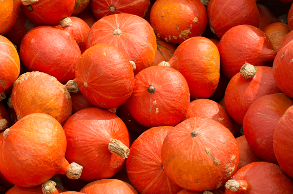 EDEKA Ralf Engelhard, Mainz-Finthen, Ingelheim, Gau-Algesheim, Blog, Kürbis, Herbst, Risotto, Hokkaido, Butternut 